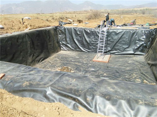 儒風(fēng)土工材料 優(yōu)質(zhì)0.8mm土工膜與針刺地毯供應(yīng)商