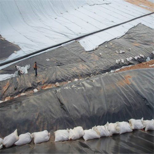 濮陽(yáng)土工膜及針刺地毯服務(wù)介紹