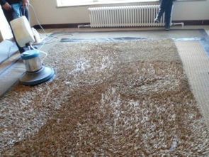 專(zhuān)業(yè)高效，潔凈無(wú)憂——廣州番禺工廠寫(xiě)字樓地毯清洗消毒與土工材料維護(hù)全攻略